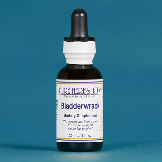 Bladderwrack - Pure Herbs LTD PureHerbs - DH Naturals