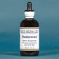 Bladderwrack - Pure Herbs LTD PureHerbs - DH Naturals