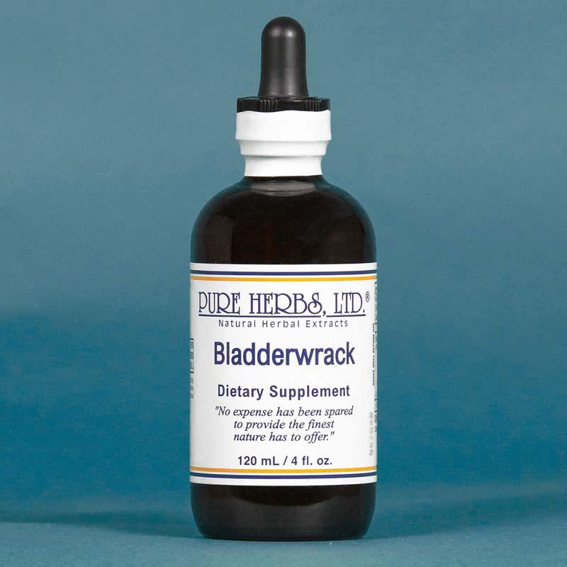 Bladderwrack - Pure Herbs LTD PureHerbs - DH Naturals